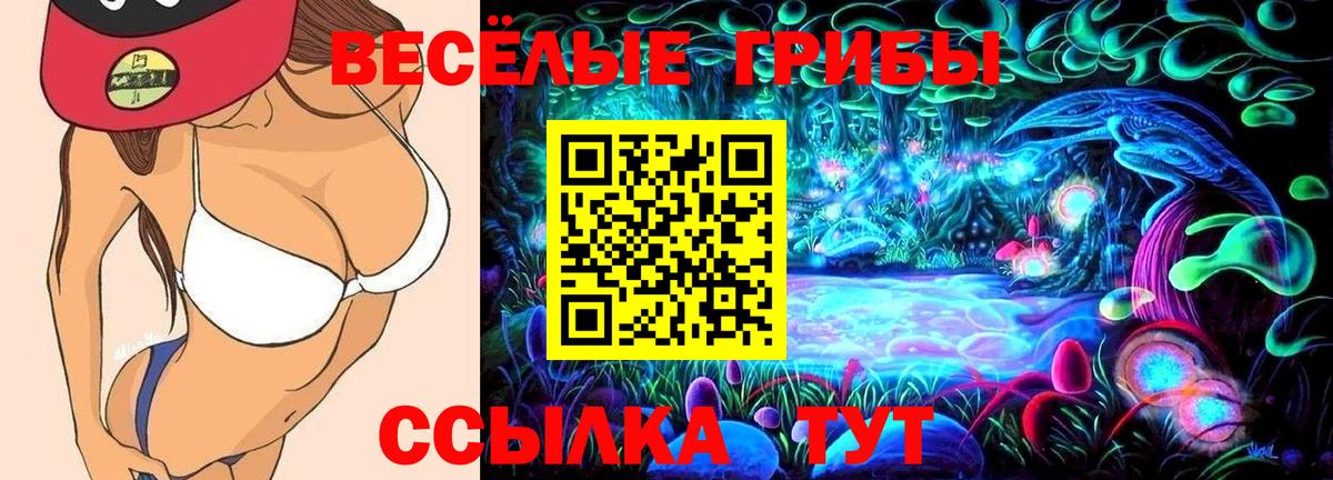 Галлюциногенные грибы Psilocybe  Галлюциногенные грибы GOLDEN TEACHER  Вход с VPN  Канаш 