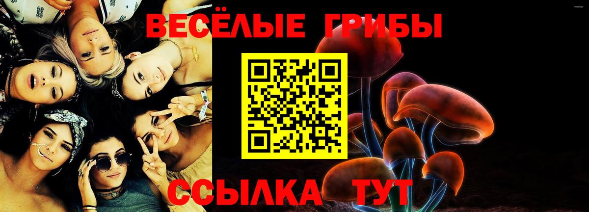 Псилоцибиновые грибы Psilocybe Канаш