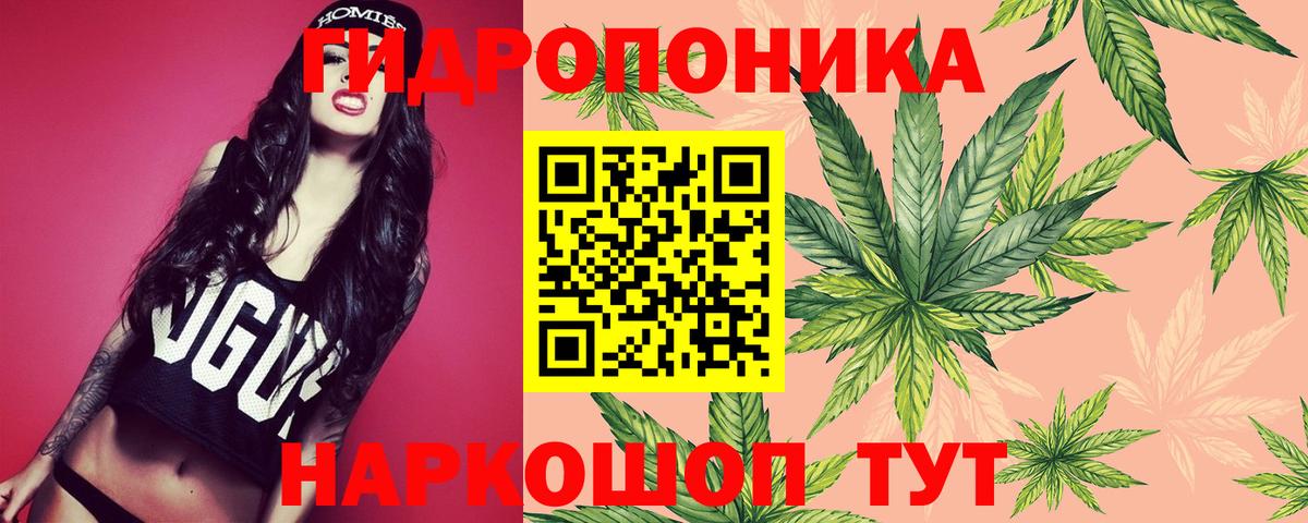 Конопля индика Канаш